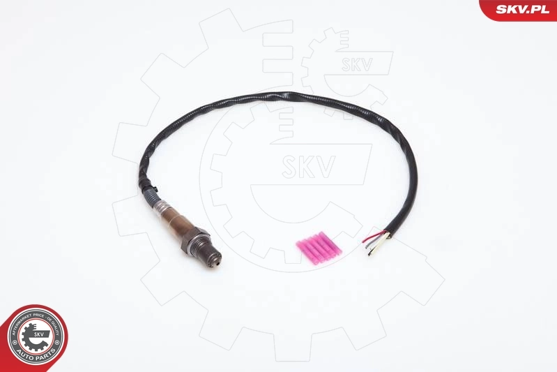 Oxygen Sensor